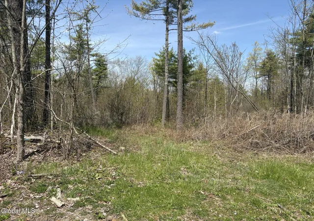 Homes for sale in Ticonderoga, NY | 1310 Lower Rd, Ticonderoga, NY 12883 | MLS# 202611119
