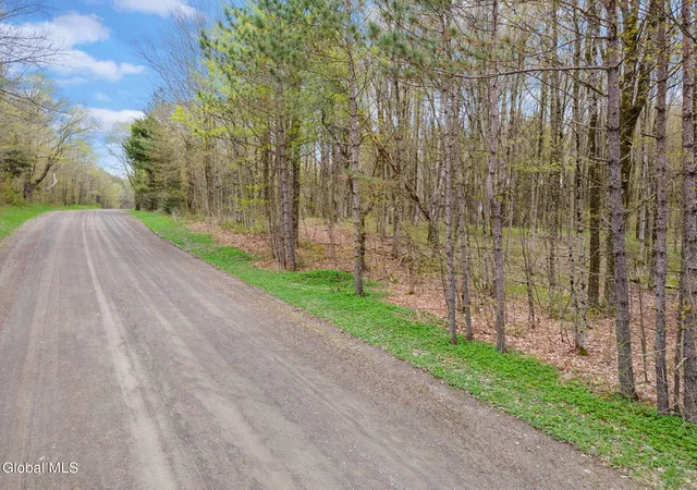 1st image of L20 Hakes Calhoun Rd, Pitcher, NY 13136 | MLS# 202612224