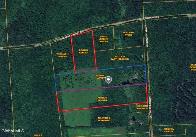 20th image of L20 Hakes Calhoun Rd, Pitcher, NY 13136 | MLS# 202612224