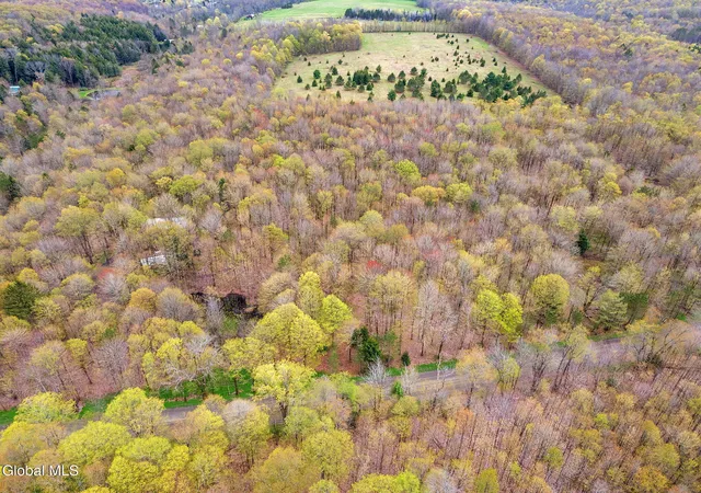 2nd image of L20 Hakes Calhoun Rd, Pitcher, NY 13136 | MLS# 202612224