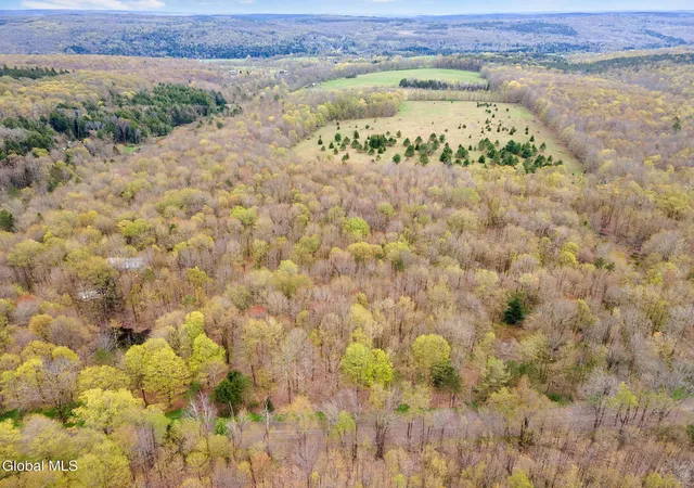 3rd image of L20 Hakes Calhoun Rd, Pitcher, NY 13136 | MLS# 202612224