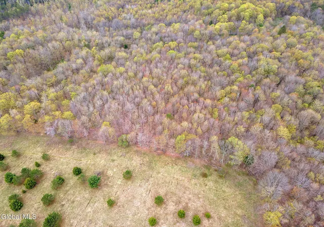 4th image of L20 Hakes Calhoun Rd, Pitcher, NY 13136 | MLS# 202612224