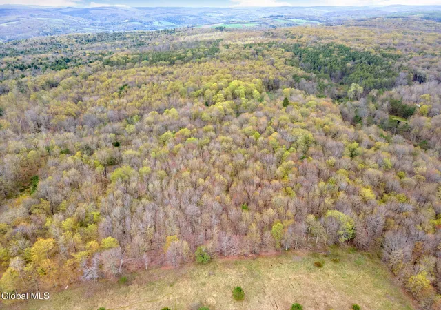 5th image of L20 Hakes Calhoun Rd, Pitcher, NY 13136 | MLS# 202612224
