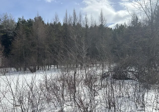 Homes for sale in Crown Point, NY | L24000 Hogback Rd, Crown Point, NY 12928 | MLS# 202612420