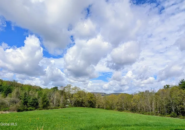 Homes for sale in Stephentown, NY | 351 Presbyterian Hill Rd, Stephentown, NY 12168 | MLS# 202612485