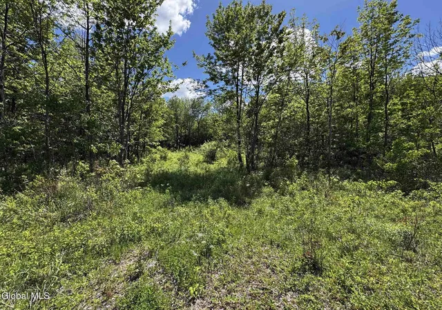 1st image of L114 Military Turnpike, Altona, NY 12910 | MLS# 202612546