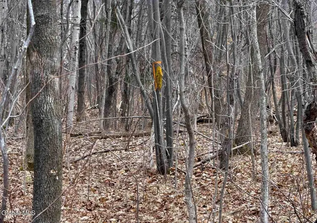 4th image of L114 Military Turnpike, Altona, NY 12910 | MLS# 202612546