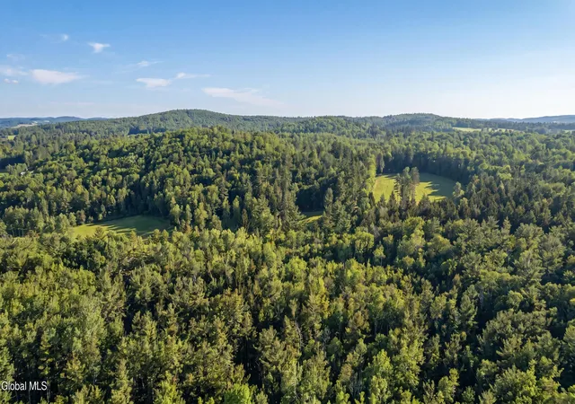 5th image of L29 County Hwy 45, Hartwick, NY 13348 | MLS# 202612906