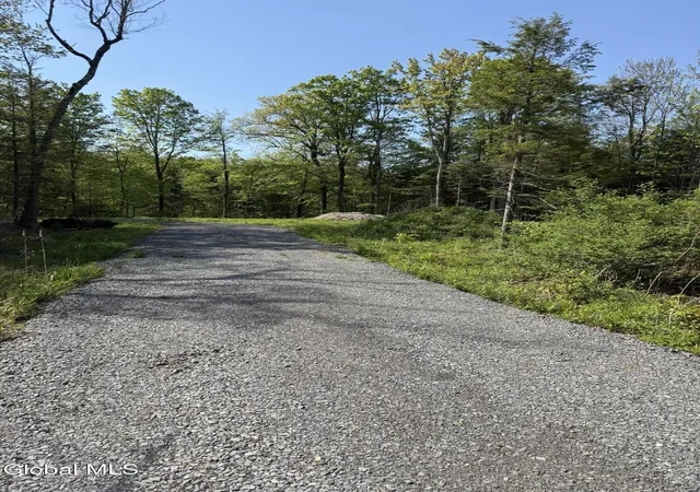 1st image of L122 Skyline Dr, Duanesburg, NY 12306 | MLS# 202613045