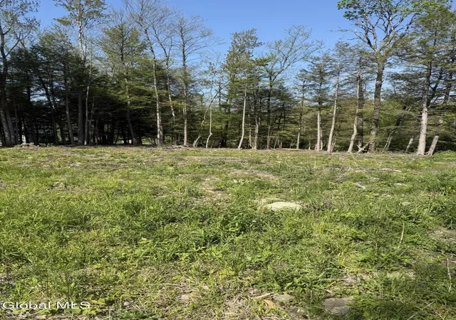 2nd image of L122 Skyline Dr, Duanesburg, NY 12306 | MLS# 202613045