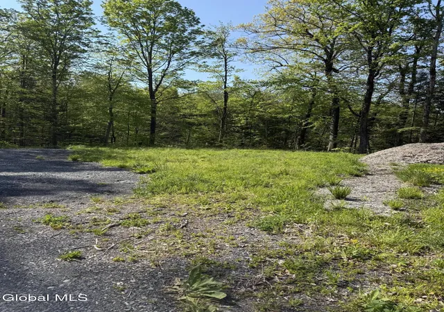 3rd image of L122 Skyline Dr, Duanesburg, NY 12306 | MLS# 202613045