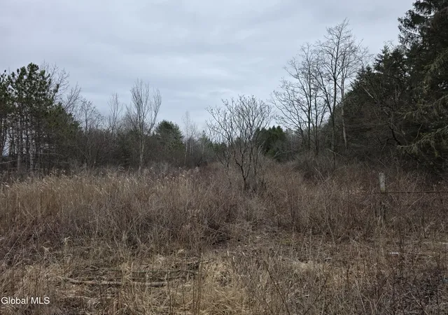 Photo 3 of Land for sale at L27 1 Jensis Rd, Schodack, NY 12033 | MLS# 202614380 | Listing updated on 2026-04-02