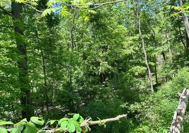 4th image of L48 Steadwell Rd, Amsterdam, NY 12010 | MLS# 202613633