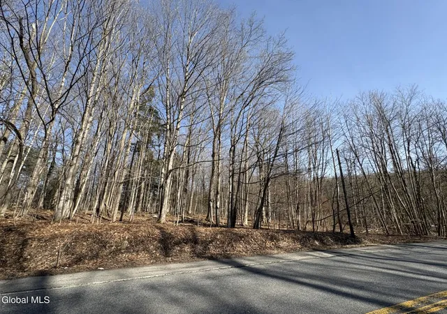 3rd image of L 1 S Kingsboro Ave, Gloversville, NY 12078 | MLS# 202613895