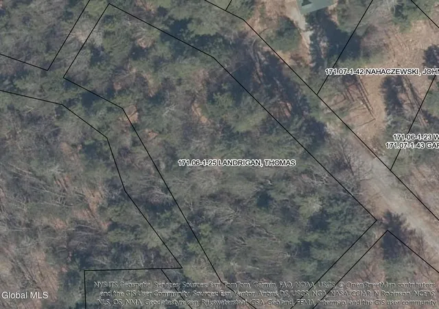Photo 3 of Land for sale at L 25 Horicon Valley Ln, Bolton Landing, NY 12814 | MLS# 202613781 | Listing updated on 2026-07-10