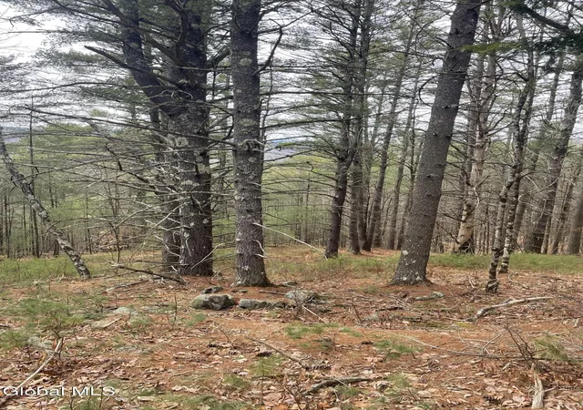 Photo 2 of Land for sale at 36 Fawn Ridge Rd, Chestertown, NY 12817 | MLS# 202620601 | Listing updated on 2026-06-29