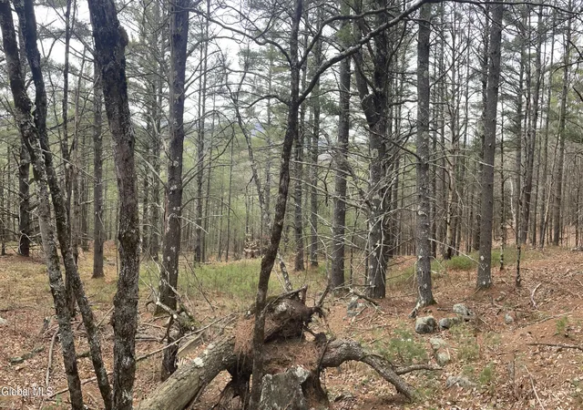 Photo 3 of Land for sale at 36 Fawn Ridge Rd, Chestertown, NY 12817 | MLS# 202620601 | Listing updated on 2026-06-29