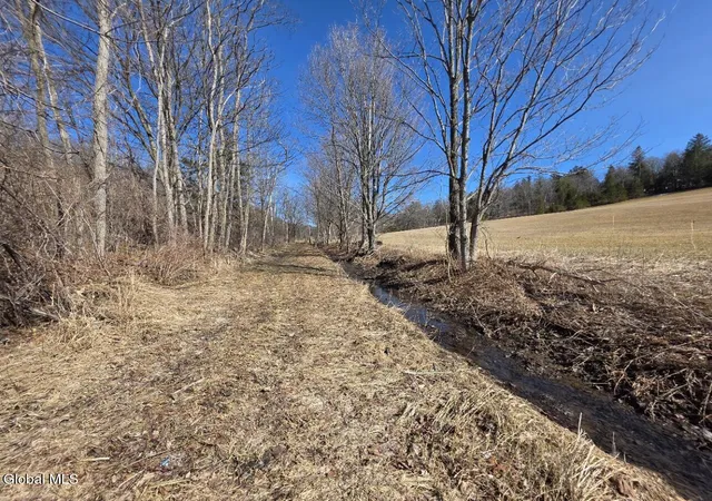 Homes for sale in Sharon Springs, NY | L28 Hwy Route 20, Sharon Springs, NY 13459 | MLS# 202614187