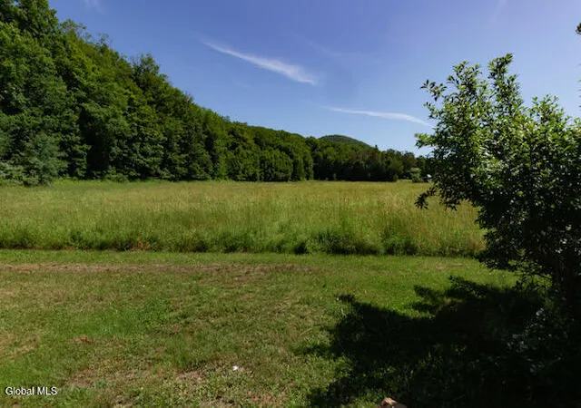 Homes for sale in Berlin, NY | 17564 State Route 22, Berlin, NY 12022 | MLS# 202614349