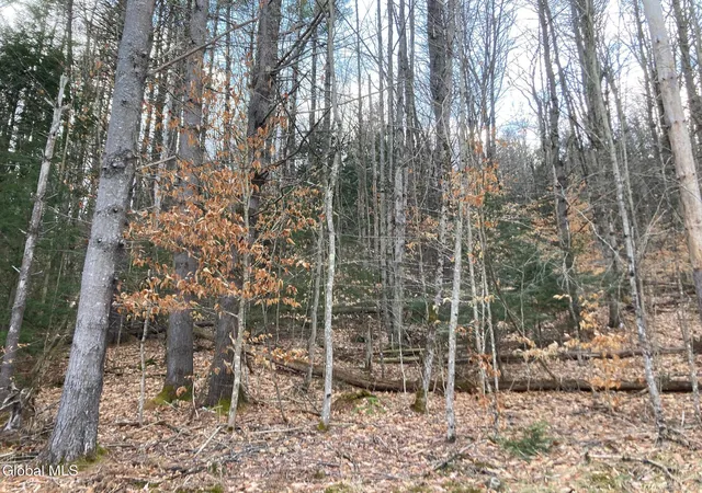 Homes for sale in Bolton, NY | 652 New Vermont Rd, Bolton, NY 12814 | MLS# 202614673