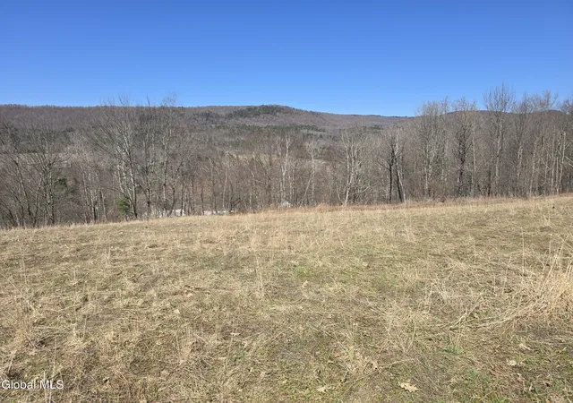 Homes for sale in Berlin, NY | 17052 Ny 22, Berlin, NY 12138 | MLS# 202614818