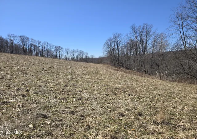 Homes for sale in Berlin, NY | 17052 Ny 22, Berlin, NY 12138 | MLS# 202614818