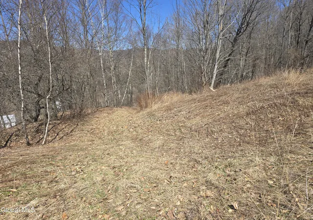 Homes for sale in Berlin, NY | 17052 Ny 22, Berlin, NY 12138 | MLS# 202614818