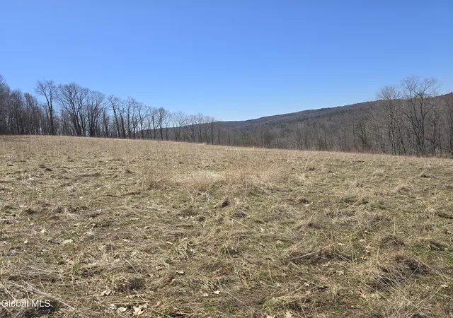 Homes for sale in Berlin, NY | 17052 Ny 22, Berlin, NY 12138 | MLS# 202614818
