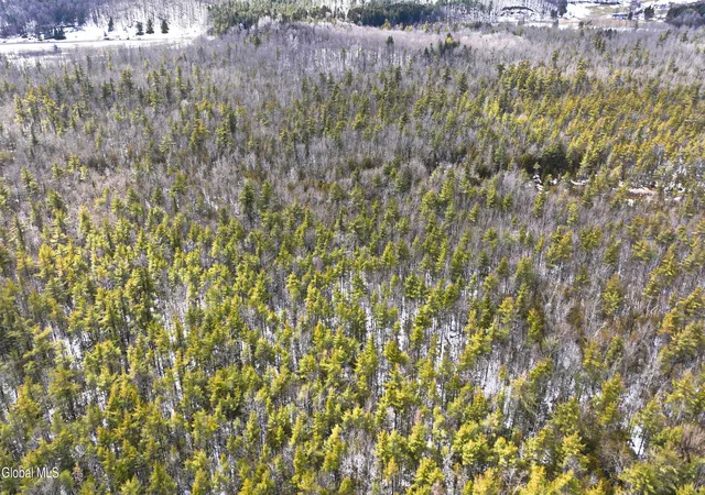 Photo 4 of Land for sale at L25 Swamp Rd, Morrisville, NY 13408 | MLS# 202614730 | Listing updated on 2026-08-17