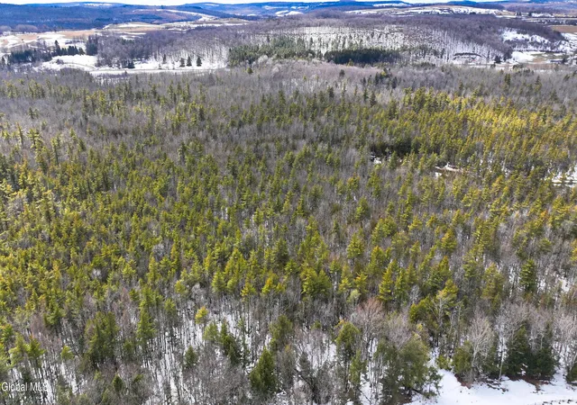 Photo 5 of Land for sale at L25 Swamp Rd, Morrisville, NY 13408 | MLS# 202614730 | Listing updated on 2026-08-17