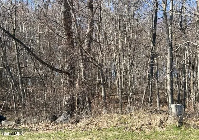 5th image of L2 Oakwood Ave, Troy, NY 12182 | MLS# 202614756