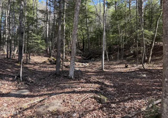 Homes for sale in Elizabethtown, NY | 5509 Lincoln Pond Rd #Lot 1, Elizabethtown, NY 12932 | MLS# 202615818