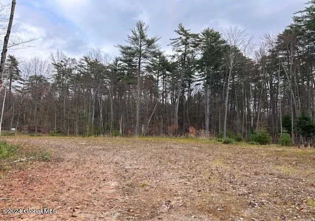 3rd image of 76 S Shore Rd, Northville, NY 12134 | MLS# 202615290