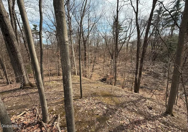 Photo 3 of Land for sale at L30 Sterling Ridge Dr, Rensselaer, NY 12144 | MLS# 202615278 | Listing updated on 2026-07-10