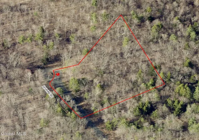 Homes for sale in Stephentown, NY | 12 Jasmine Rd, Stephentown, NY 12168 | MLS# 202615333