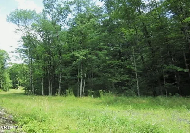 Homes for sale in Stephentown, NY | 12 Jasmine Rd, Stephentown, NY 12168 | MLS# 202615333