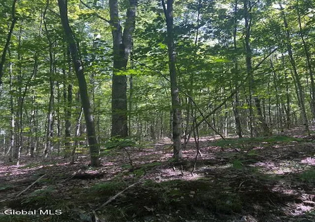 Homes for sale in Hebron, NY | L28 Koster Wy, Hebron, NY 12865 | MLS# 202615406