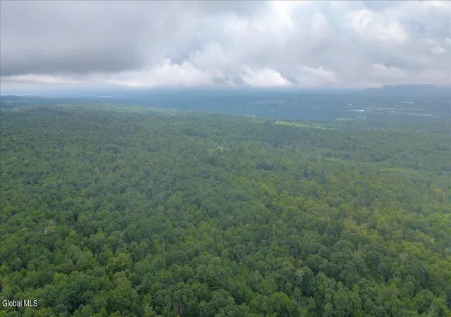 1st image of 181 Liddle Rd #Lot 2, Duanesburg, NY 12056 | MLS# 202615480