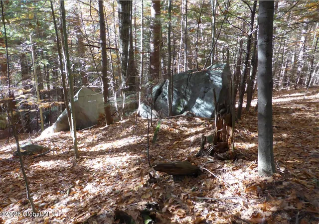 4th image of 487 Antone Mountain Rd, Corinth, NY 12822 | MLS# 202615568