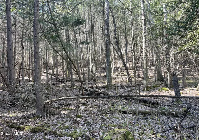 Homes for sale in Sharon Springs, NY | Lot 26 Hwy Route 20, Sharon Springs, NY 13459 | MLS# 202615725