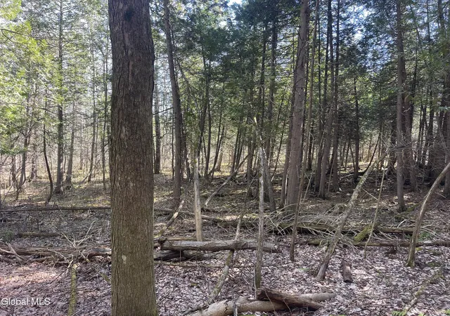 Homes for sale in Sharon Springs, NY | Lot 26 Hwy Route 20, Sharon Springs, NY 13459 | MLS# 202615725