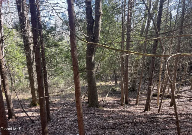 Homes for sale in Sharon Springs, NY | Lot 26 Hwy Route 20, Sharon Springs, NY 13459 | MLS# 202615725