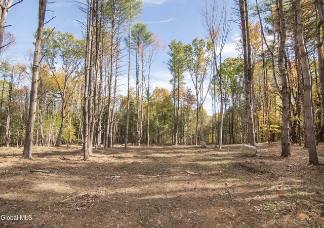 Homes for sale in Greenfield, NY | 93 Sand Hill Rd, Greenfield, NY 12833 | MLS# 202615766