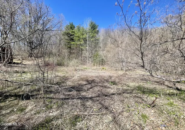 Homes for sale in Ticonderoga, NY | 38 Burgoyne Rd, Ticonderoga, NY 12883 | MLS# 202616293