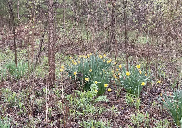 Photo 3 of Land for sale at 38 Burgoyne Rd, Ticonderoga, NY 12883 | MLS# 202616293 | Listing updated on 2026-05-07