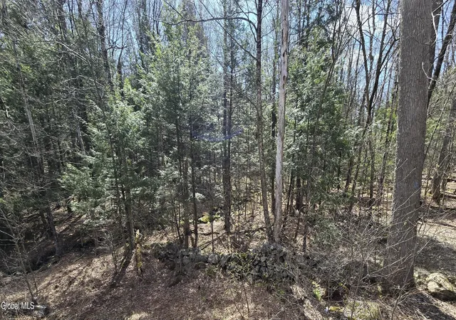 Photo 1 of Land for sale at L45 Jacobs Ladder Rd, Becket, MA 01223 | MLS# 202619146 | Listing updated on 2026-06-29
