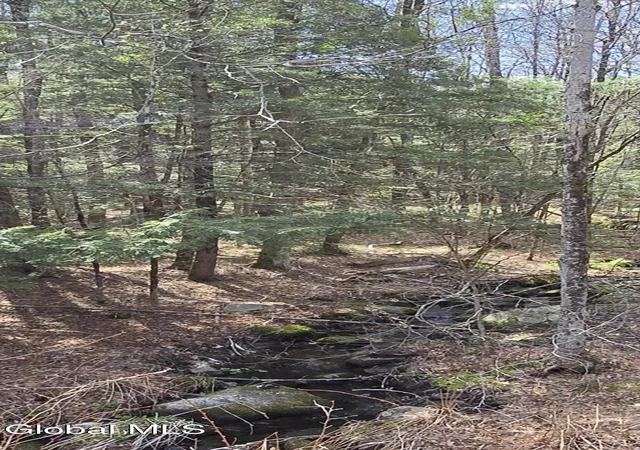 Photo 2 of Land for sale at L45 Jacobs Ladder Rd, Becket, MA 01223 | MLS# 202619146 | Listing updated on 2026-06-29