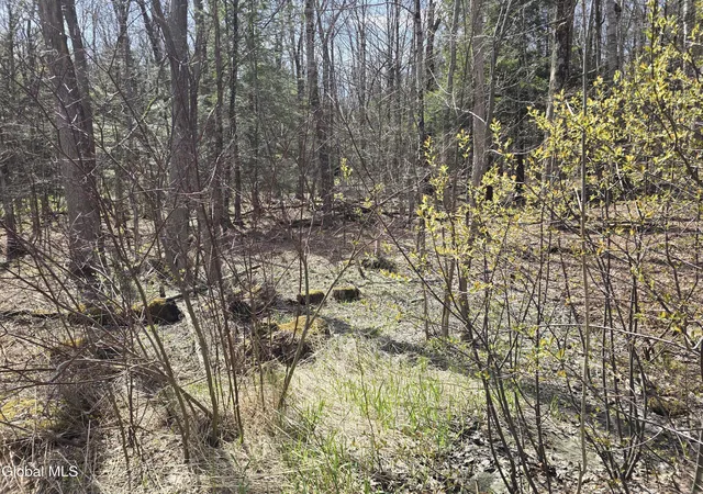 Photo 4 of Land for sale at L45 Jacobs Ladder Rd, Becket, MA 01223 | MLS# 202619146 | Listing updated on 2026-06-29