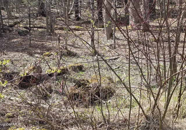 Photo 5 of Land for sale at L45 Jacobs Ladder Rd, Becket, MA 01223 | MLS# 202619146 | Listing updated on 2026-06-29
