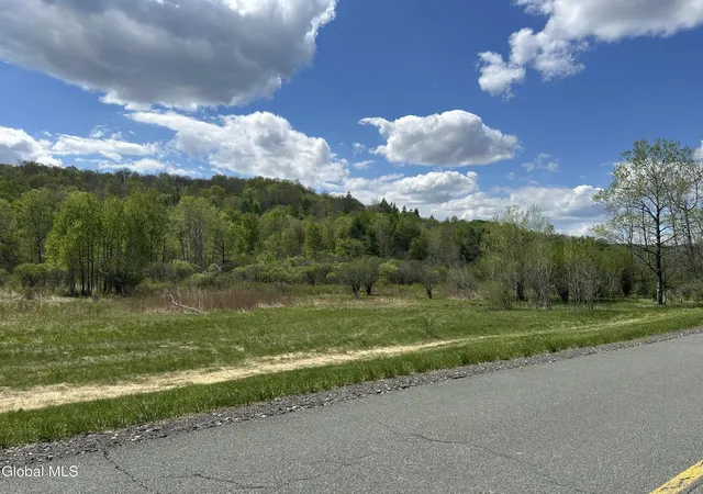 Homes for sale in Stephentown, NY | 201 East Rd, Stephentown, NY 12168 | MLS# 202616725